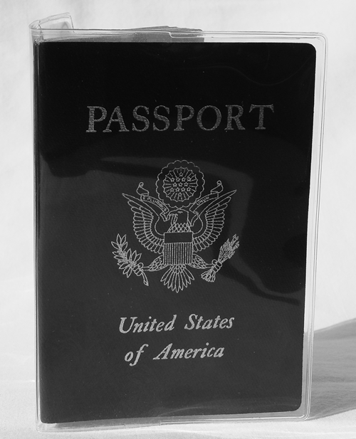 Vinyl Passport Covers