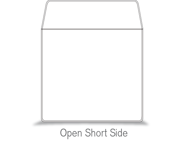 VINYL POUCH WITH FLAP WITH 0.25" DROP - EXTERNAL DIMENSIONS 12.5000" x 12.5000" - WITH 4.250" FLAP AND 1.000" STRAP